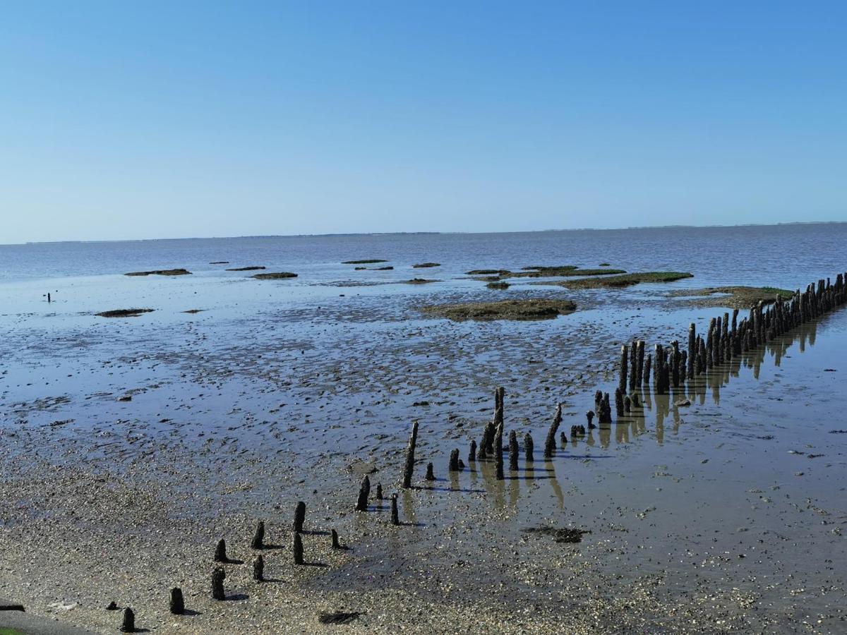 Kleinaberfein An Der Nordseekueste Schweindorf Luaran gambar